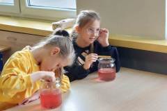 IMG-20250916-WA0006
