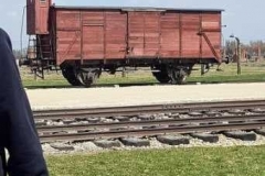 278348800_512929360481674_8565601617277383029_n