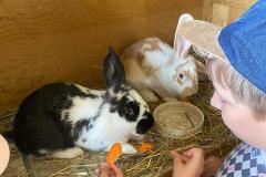 IMG-20240523-WA0017