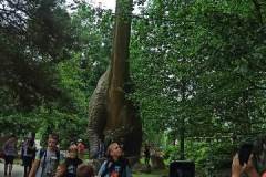 IMG-20240604-WA0039