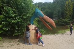 IMG_20240604_103214