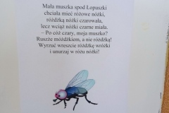 IMG_20240216_105223