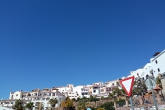 IMG_20240311_122747
