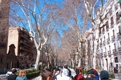 IMG_20240312_130548