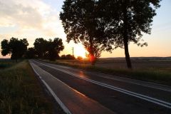 156360297_745232002834060_4704989477985010839_n