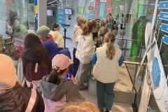 IMG_8201-Copy