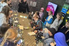 IMG_8207-Copy