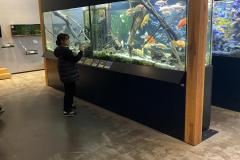 IMG_8236-Copy