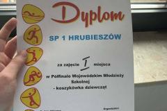 658810511_1686812342722551_7403833456282378652_n-Copy