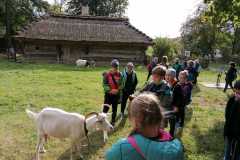 IMG-20210929-WA0043