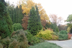 DSC04221