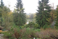 DSC04227
