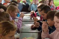 IMG_20220923_110945