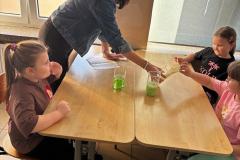 6c62f5d8-b91d-449f-9b1d-f67c6b6c3a26-Copy