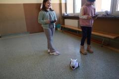 IMG_2928-Copy