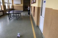 Image-7-Copy