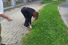 thumbnail_IMG_20230915_124740
