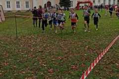 311331320_765025081567953_878035363619836914_n