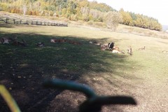 20191014_122638
