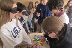 06684473-52ce-4d67-aa04-073c4c4bd7df-Copy