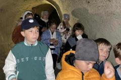 07370c47-c156-4a40-b45d-47feafcb200b-Copy